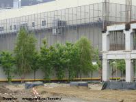 Imagine atasata: Openville - 2017.08.20 - 55.jpg